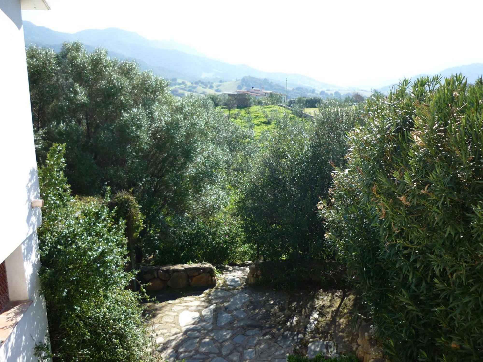 Agriturismo Asara Padru Exterior photo
